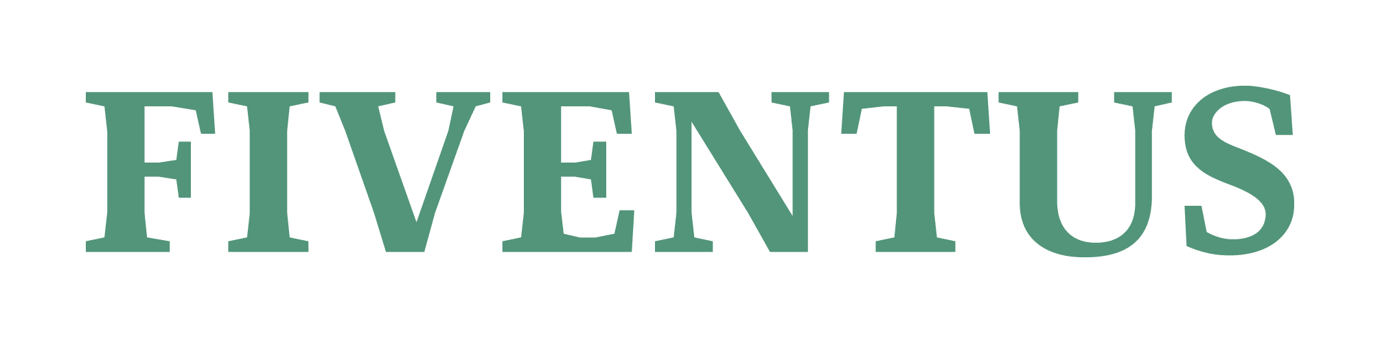 Fiventus GmbH | Unternehmensberatung Rosenheim